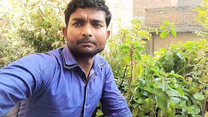 Ghar ki paudhe ki video MANOJ k vlogs channel