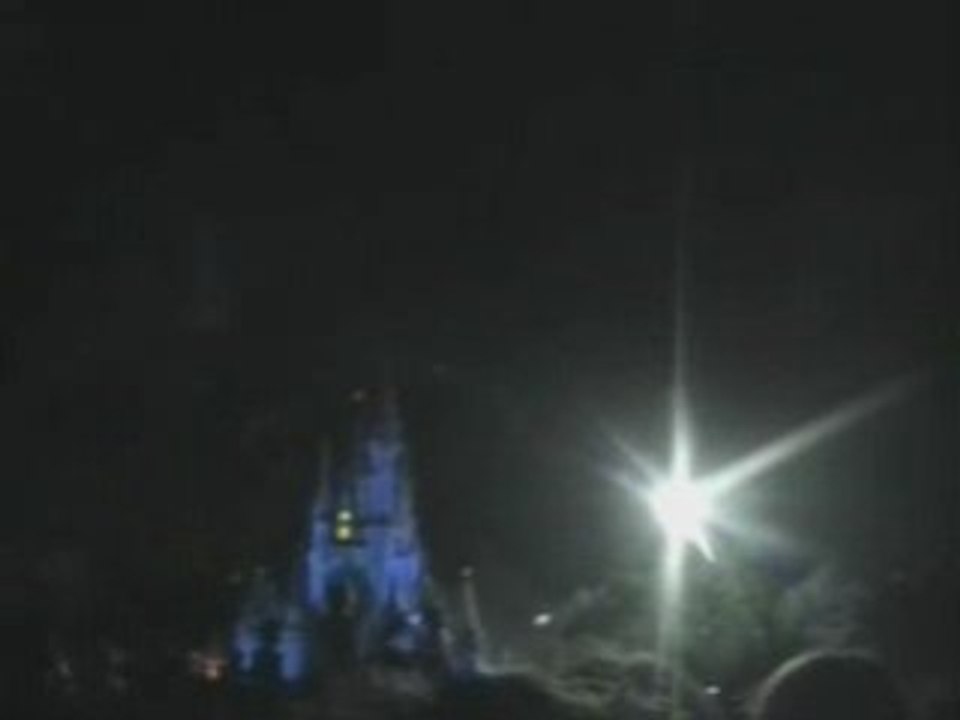 Magic Kingdom-Wishes