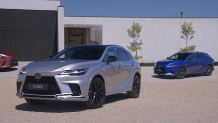 2023 Lexus RX Range