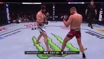 UFC || Jan Blachowicz SPAMMING Leg Kicks on Magomed Ankalaev
