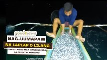 Nag-uumapaw na laplap o lilang, inabutan ng mga mangingisda sa Oriental Mindoro | Good News