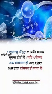 _The bakwas tag, The bakwas motivational, The motivational video, Comedy video, Funny jokes video, Song, American comedy, Indian comedy, Comedy, Facebook statusWhatsApp WhatsApp, , All status Instagram status, Bhakti song, Comedian song, New musical song