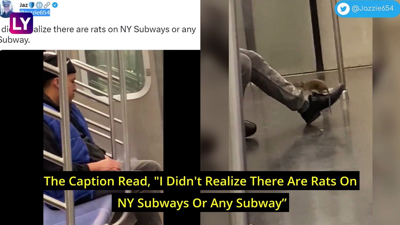 Rat Crawls On A Sleeping Passenger On New York Subway; Video Goes Viral