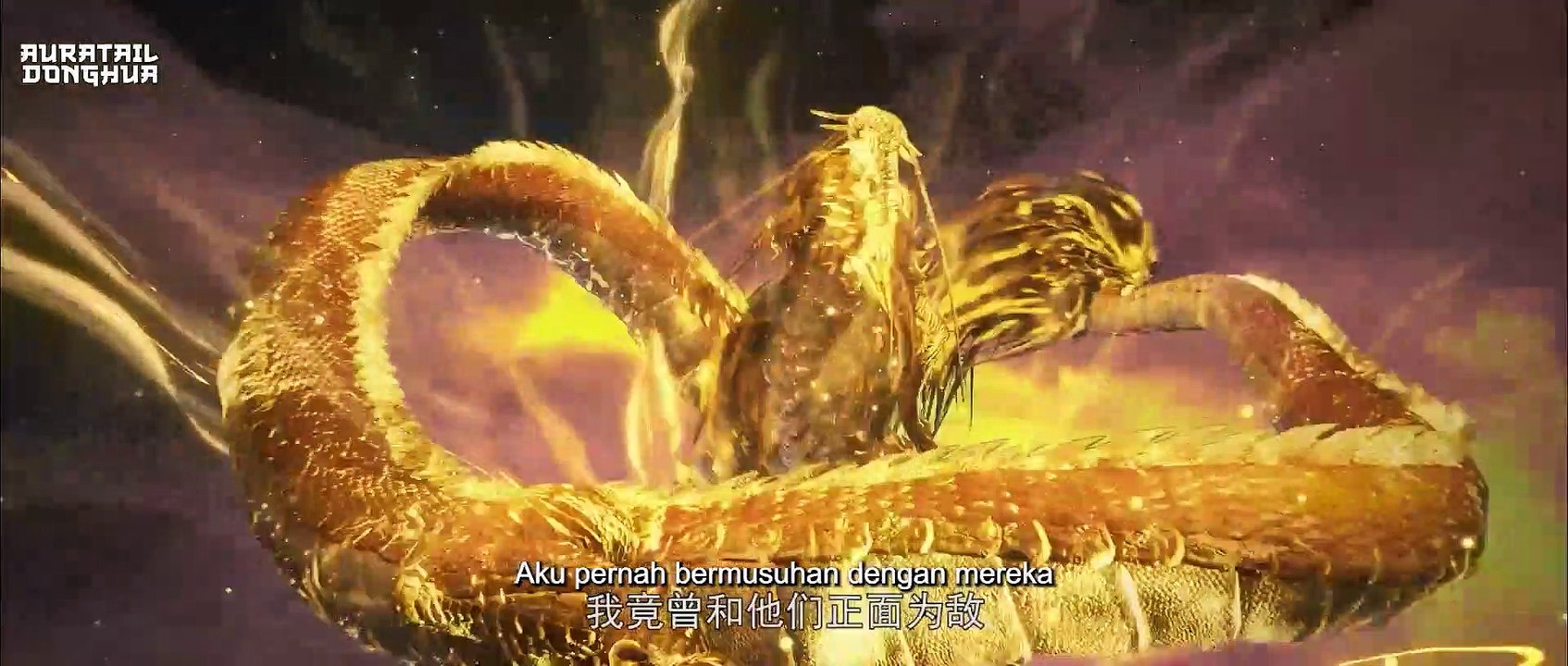 [auratail] Stellar Transformation_5_8
