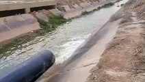 البدء بنقل مياه فيضان سد وادي شعيب - فيديو