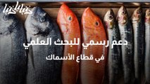 دعم رسمي للبحث العلمي في قطاع الأسماك