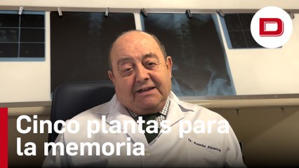 Cinco plantas para mejorar la memoria, con el Dr. Abascal