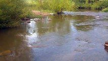 Arroyo Tacuarembó Chico, Puente Paso del Bote - Tacuarembó, Uruguay (27/01/2023)