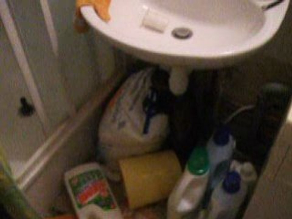 Sheïtan in the bathroom 1