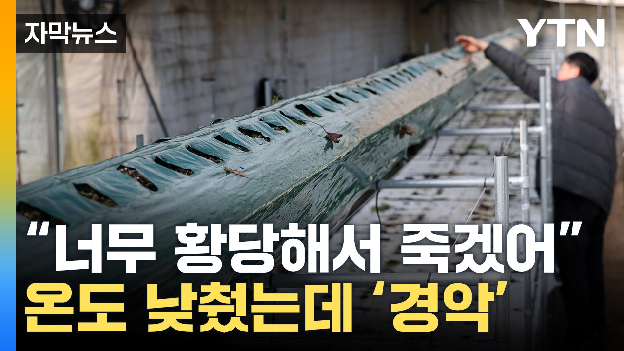 [자막뉴스] "700만 원이 나왔어요"...농민들 울린 처참한 상황 / YTN
