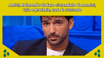 Amici, Raimondo Todaro circondato da nemici, urla e proteste, cosa è successo