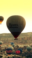 Hot air balloons flying in the sky
