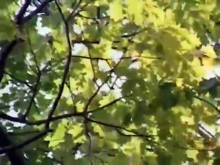 Mighty Machines - Se1 - Ep11 HD Watch