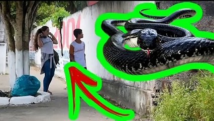 PEGADINHA DA COBRA  ASSUSTANDO PESSOAS  Snake Prank