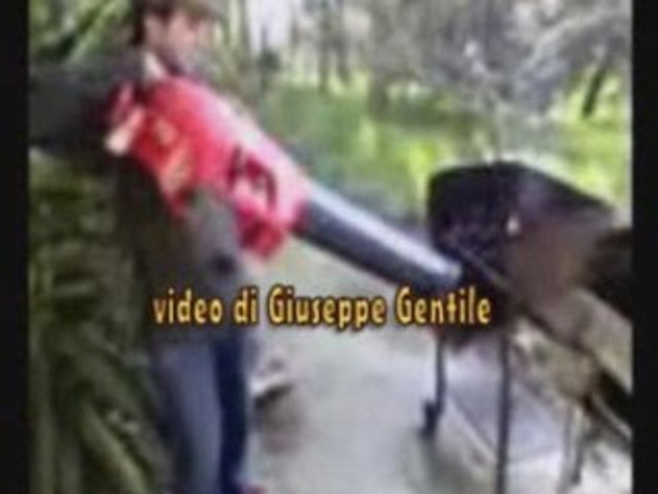 Aspirafoglie