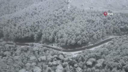 Aydın'da kar yağışı etkisini gösterdi