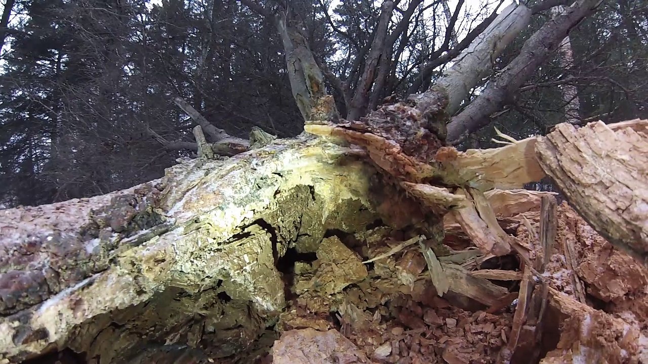 Auto Alma Petite Décharge Sous Le Pont Saint-Georges 2 Janvier 2023