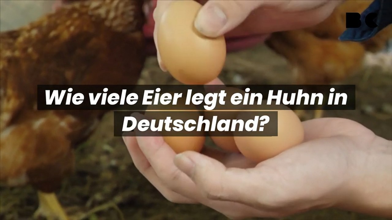 Wie viele Eier legt ein Huhn in Deutschland?