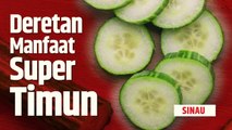 Manfaat Baik Timun yang Penting bagi Kesehatan Tubuh | SINAU