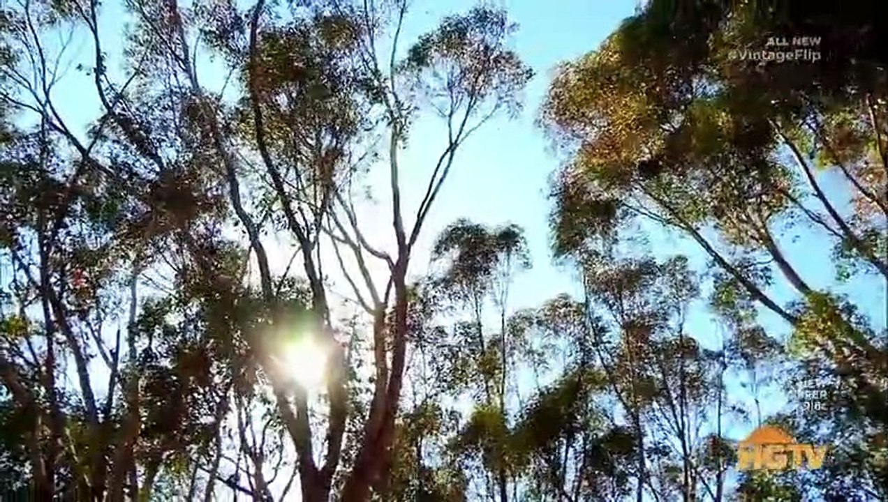 Vintage Flip - Se2 - Ep11 - Queen Anne Victorian HD Watch