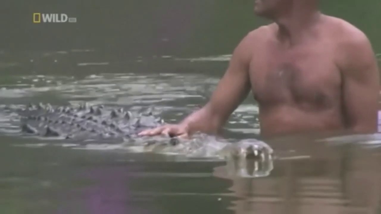 The Man Who Swims With Crocodiles - Nat Geo Wildlife Doucumentary