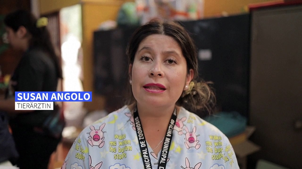 Erste Hilfe für verletzte Tiere nach Waldbränden in Chile