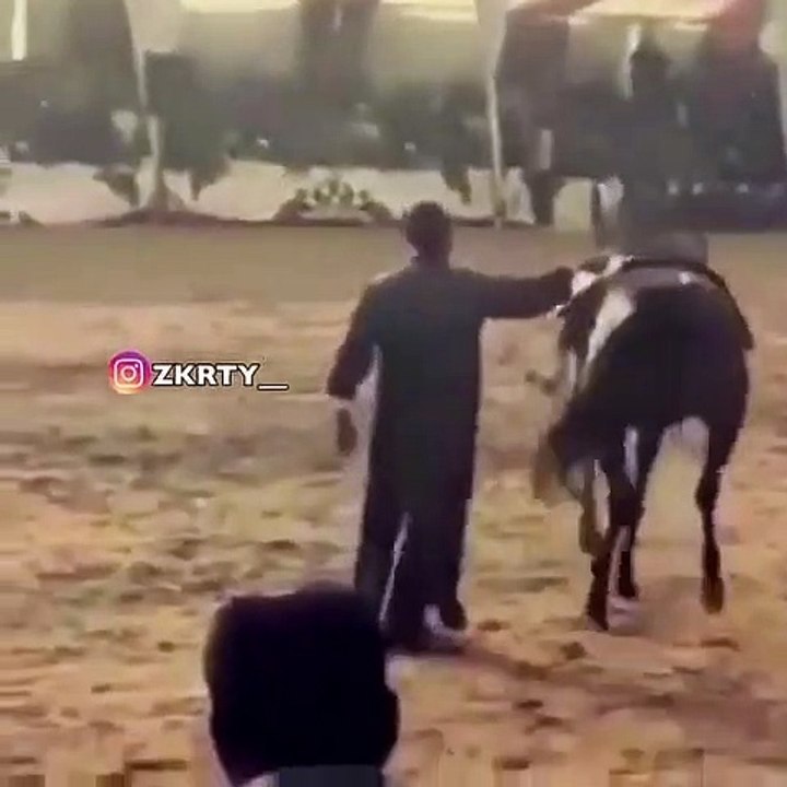 Dance with me wait for end 