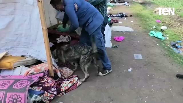 جهود أجهزة وزارة الداخلية على مستوى الجمهورية خلال شهر في مجال مكافحة المخدرات