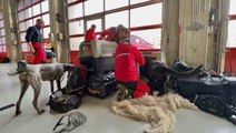 İngiltere, Çekya ve Tayvan, Türkiye'ye arama-kurtarma ekibi gönderiyor