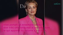 Sharon Stone : cheveux blancs et total look rose, elle est époustouflante à 64 ans