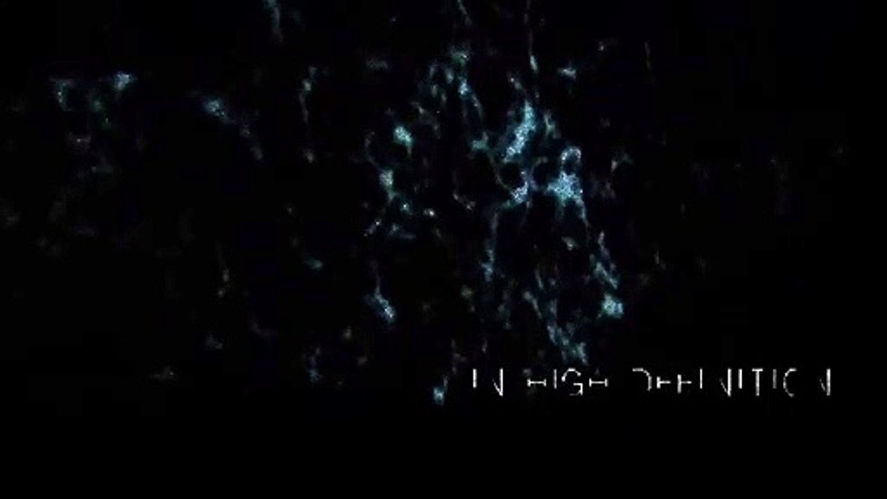 Nine Inch Nails: Beside You In Time | movie | 2007 | Official Trailer