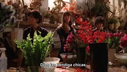 Aprendiz de gigoló | movie | 2014 | Official Trailer