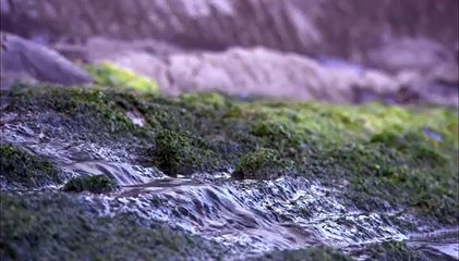 Flysch, el susurro de las rocas | movie | 2009 | Official Trailer