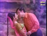 Mila Jo Hamen Tera Pyar /Lata Mangeshkar  Preet Ki Dori 1971