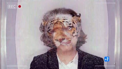 Historias de Alcafrán | show | 2020 | Official Trailer