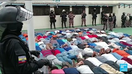 Las medidas planteadas en el referendo constitucional ecuatoriano para mitigar la violencia