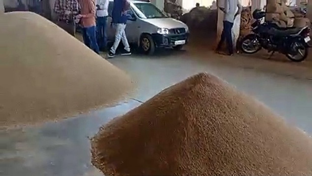 जीरा व ग्वार-गम मंदा, सोना-चांदी िस्थर