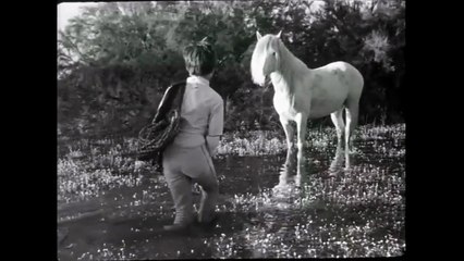 Crin blanc: Le cheval sauvage | movie | 1953 | Official Trailer