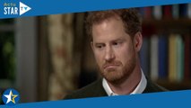 Prince Harry : Son 