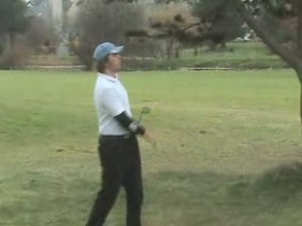 Swings de Links2