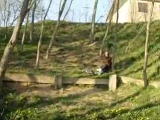 camille qui se pren larbre