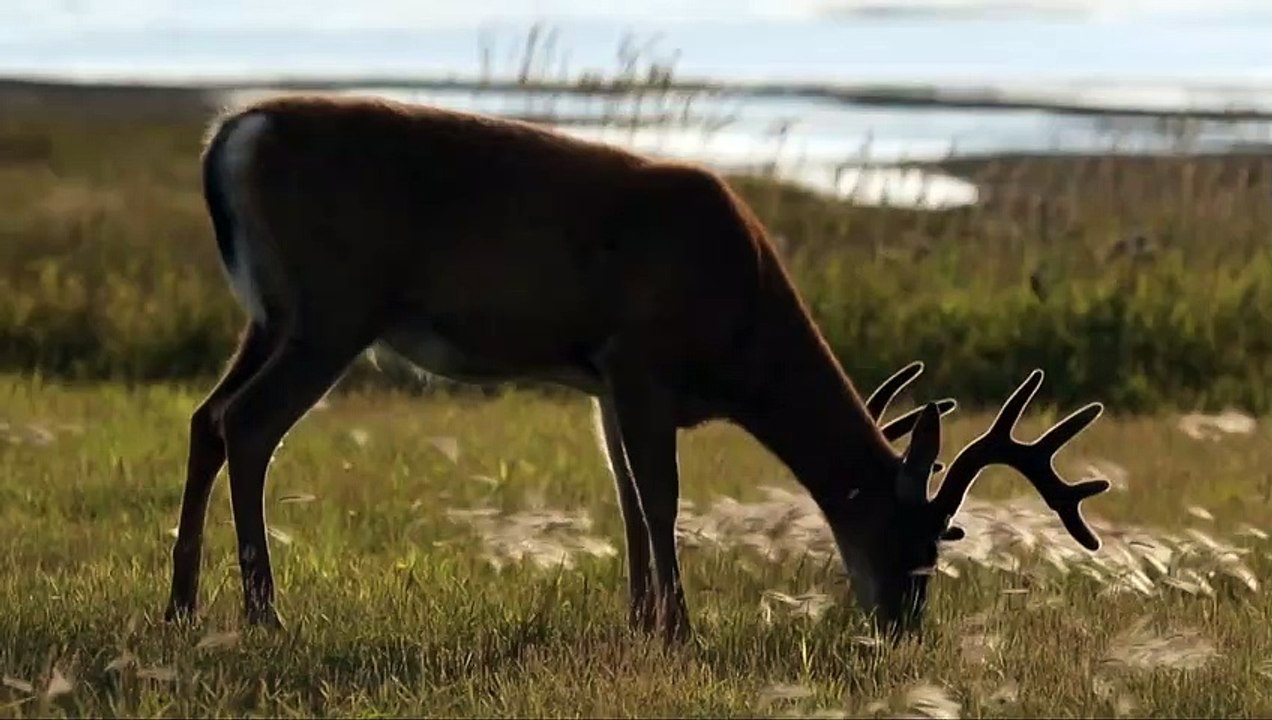 Anticosti: La chasse au pétrole extrême | movie | 2014 | Official Trailer