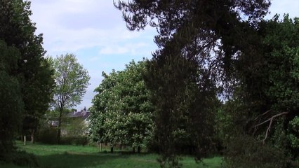 Déchirés / Graves | movie | 2013 | Official Trailer