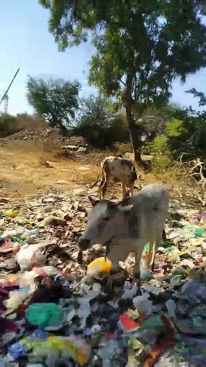 ये गंदगी बनाएगी क्या हमें नंबर वन रेलवे कालोनी...