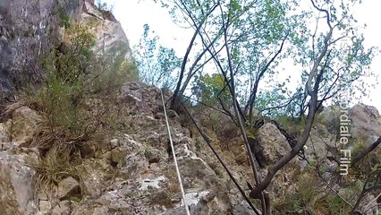 L'oiseau papillon | movie | 2013 | Official Trailer