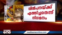 കണ്ടെയ്‌നറിൽ പഴകിയ മത്സ്യം പിടികൂടി: ഡ്രൈവർമാർക്കായി തെരച്ചിൽ