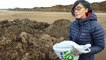 Cristina Soler,  investigadora de la Universidad Autónoma de Madrid, impulsa el proyecto Algarikon para reutilizar las algas del Mar Menor.