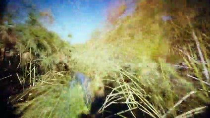 African Adventure: Safari in the Okavango | movie | 2007 | Official Trailer