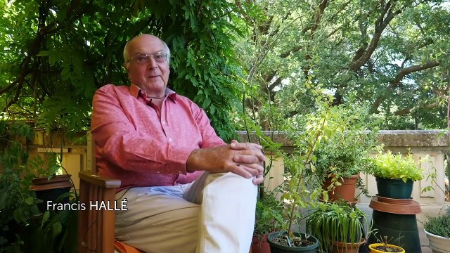 Les arbres remarquables, un patrimoine à protéger | movie | 2019 | Official Trailer