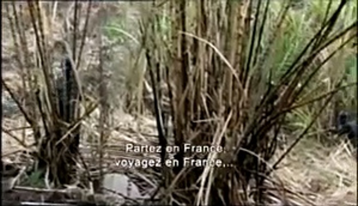 L'avenir est ailleurs | movie | 2007 | Official...